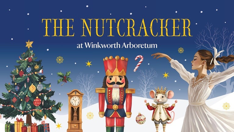 A promotional image for The Nutcracker at Winkworth Arboretum comprising a decorated Christmas tree, an old-fashioned clock, large nutcracker figure, a mouse and a ballerina featured in a snowy, stary night scene.